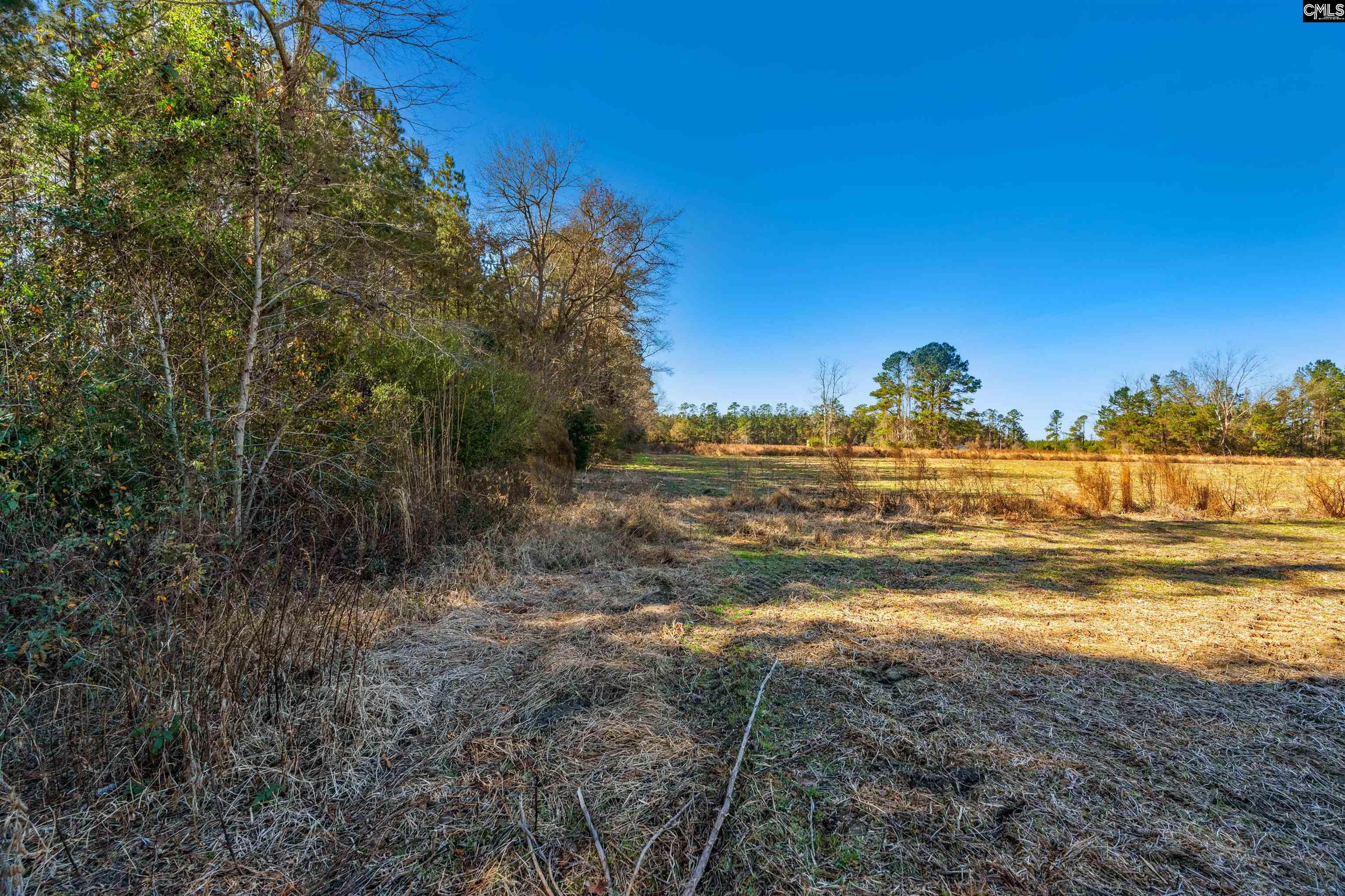 1745 Williams Hill Road Hemingway, SC 29554 - Photo 18 of 25