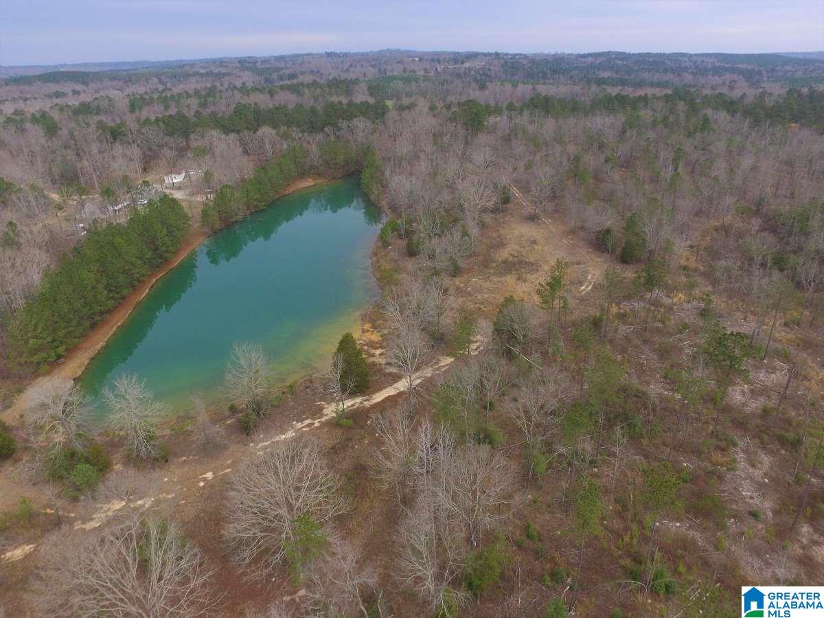 0 Melissa Robyn Road, Unit 1 Deatsville, AL 36022 - Photo 7 of 29