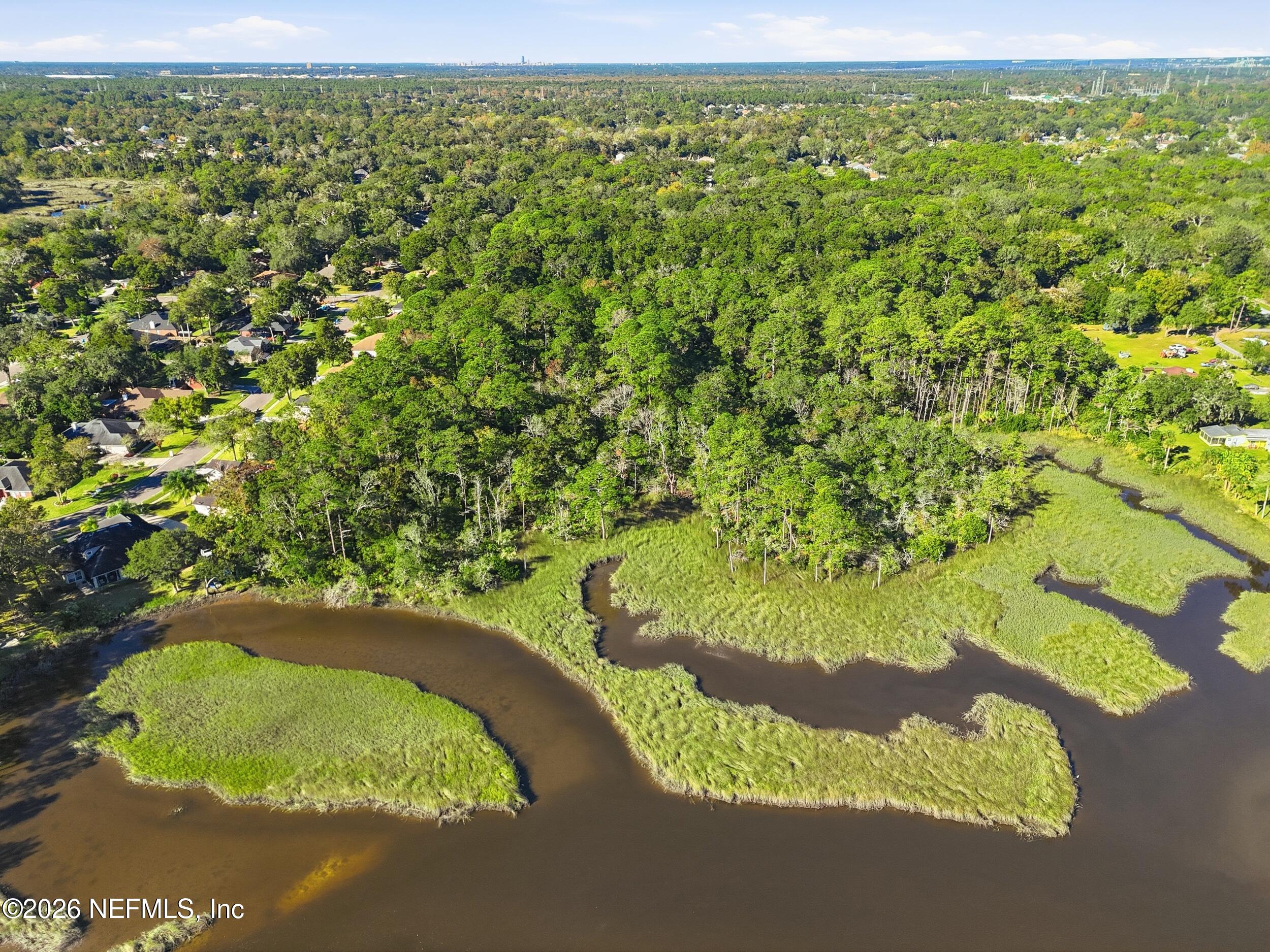 2 Caroline Ridge Lane East Jacksonville, FL 32225 - Photo 9 of 23 a close up of a plant in a garden