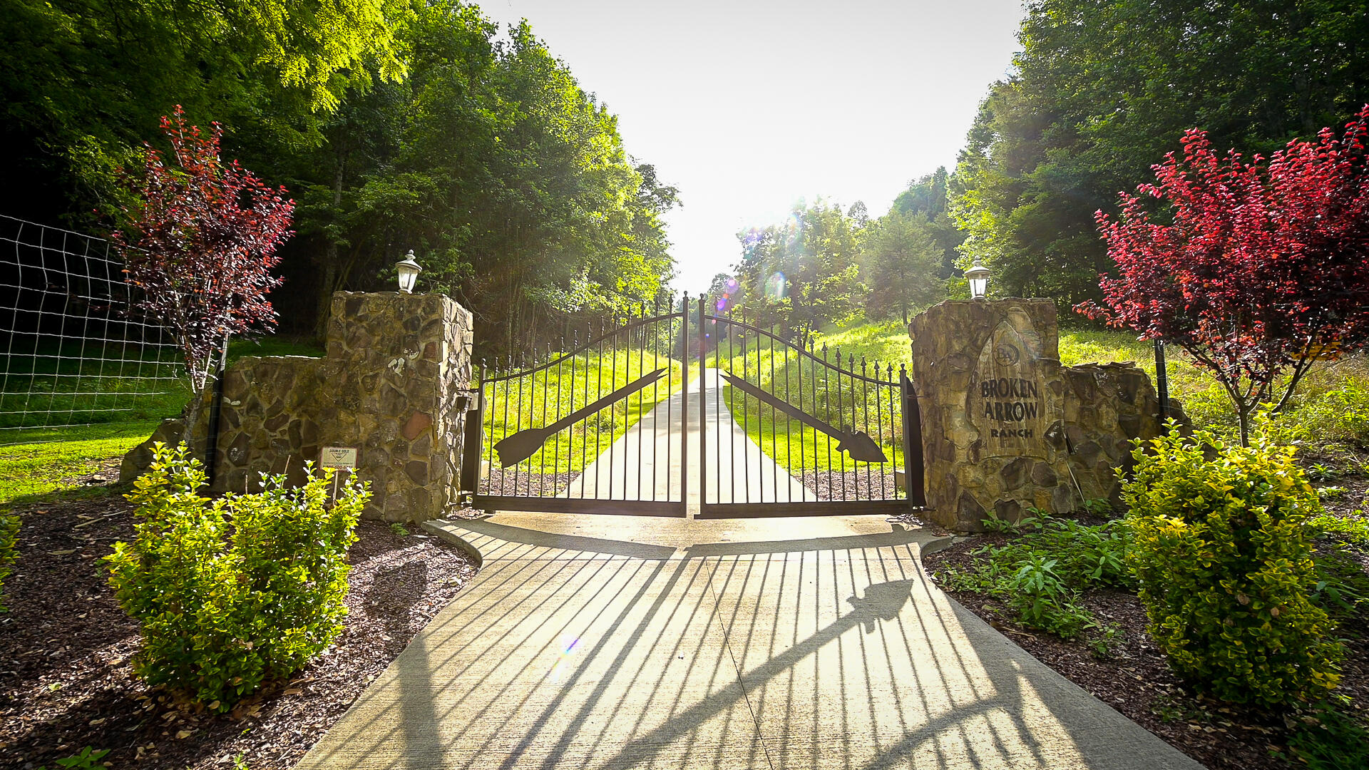 744 Cave Springs Road Rogersville, TN 37857 - Photo 1 of 17 Hawkins TN 1023_Gate