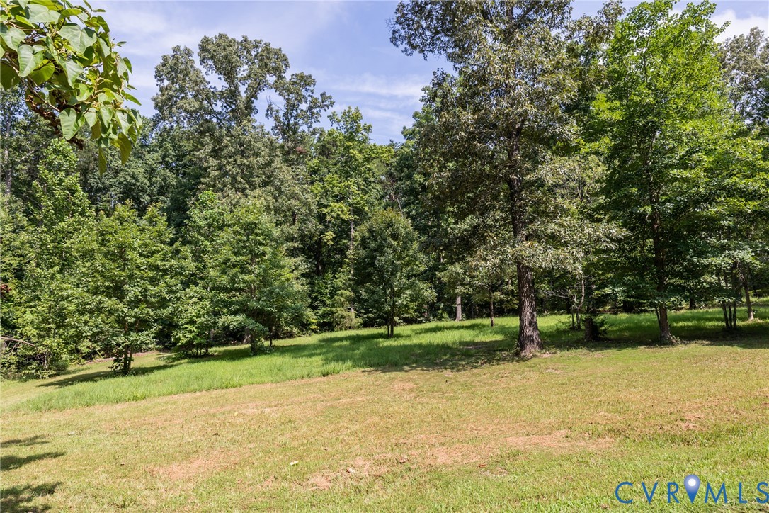 11766 Five Forks Road Farmville, VA 23901 - Photo 40 of 50 a view of a park with large trees