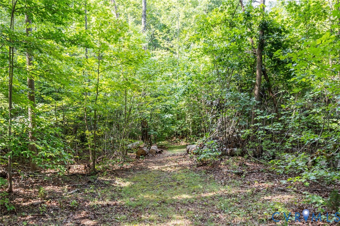 11766 Five Forks Road Farmville, VA 23901 - Photo 41 of 50 a view of outdoor space and trees