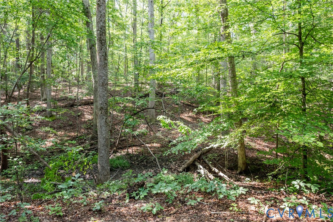 11766 Five Forks Road Farmville, VA 23901 - Photo 42 of 50 a plant view
