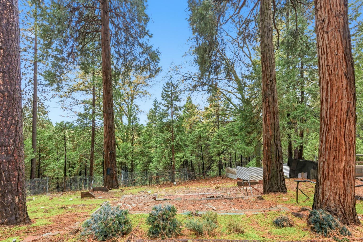 19159 Allan Road Volcano, CA 95689 - Photo 23 of 27