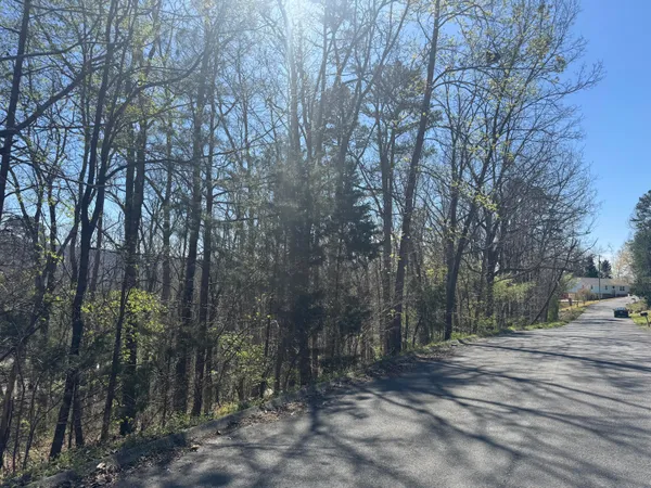 $12,000 | Lot 22 Stoney Point Circle, Rocky Face, GA 30740