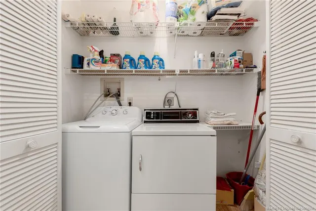 a view of a flower in a lot