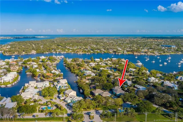 a living room with furniture and a table with potted plants