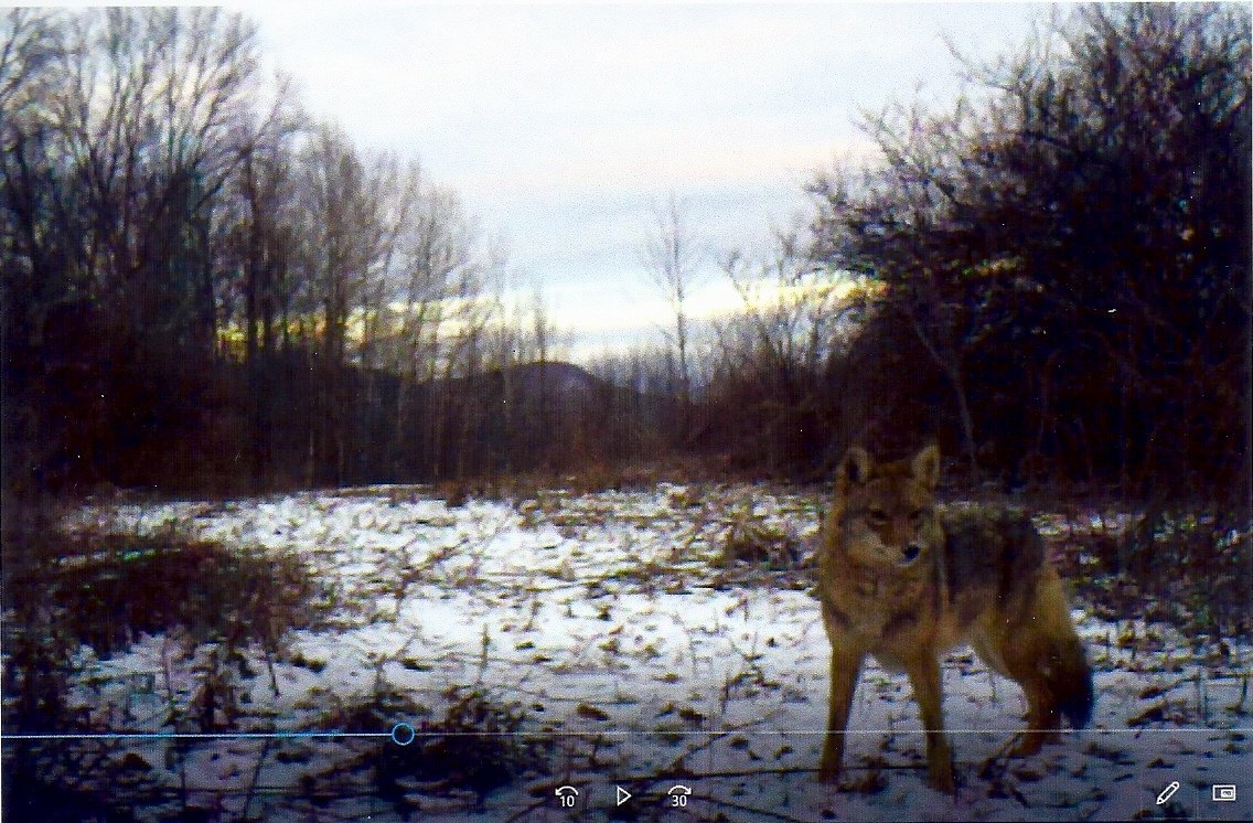 999 Briar Hill Road Pawlet, VT 05775 - Photo 31 of 39 Gallery Image 31