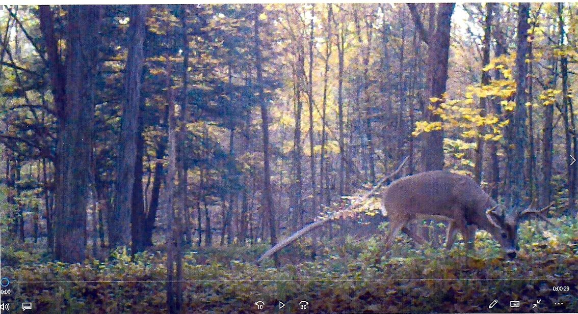 999 Briar Hill Road Pawlet, VT 05775 - Photo 38 of 39 Gallery Image 38