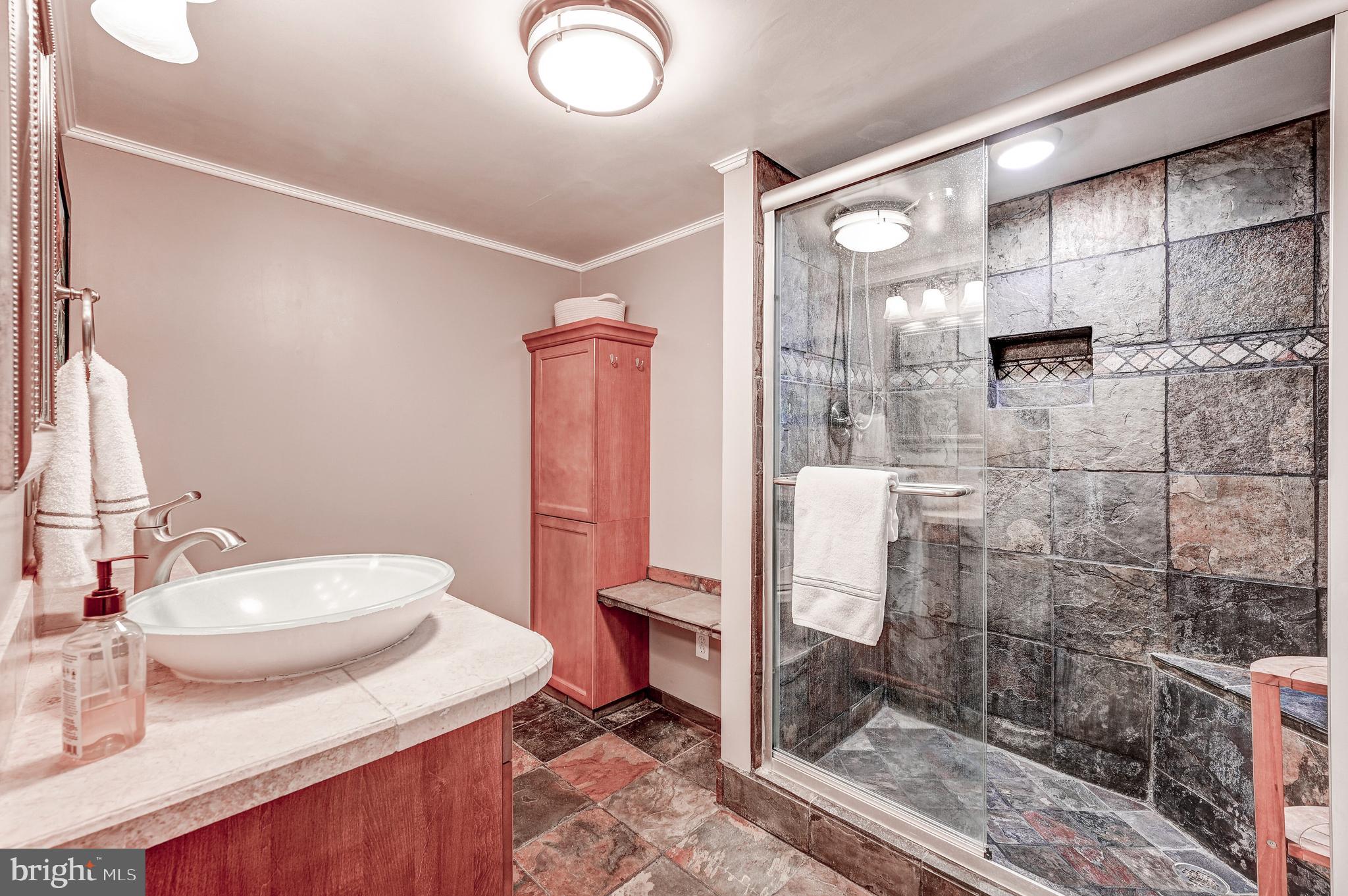 1874 Burley Road Annapolis, MD 21409 - Photo 48 of 85 Lower level renovated full bath.