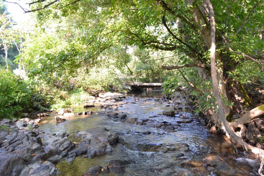 6141 Timber Bridge Road Roanoke, VA 24018 - Photo 34 of 35 DSC_0286
