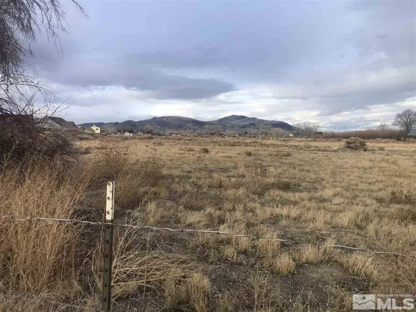 a view of a lake in middle of the forest