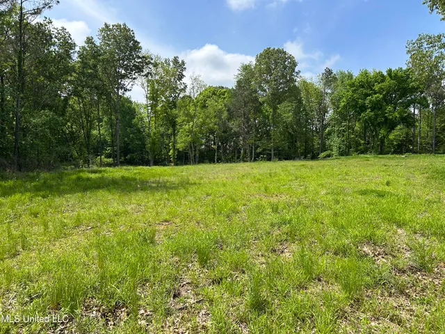 $180,000 | 4315 North Crockett Road, Sarah, MS 38665