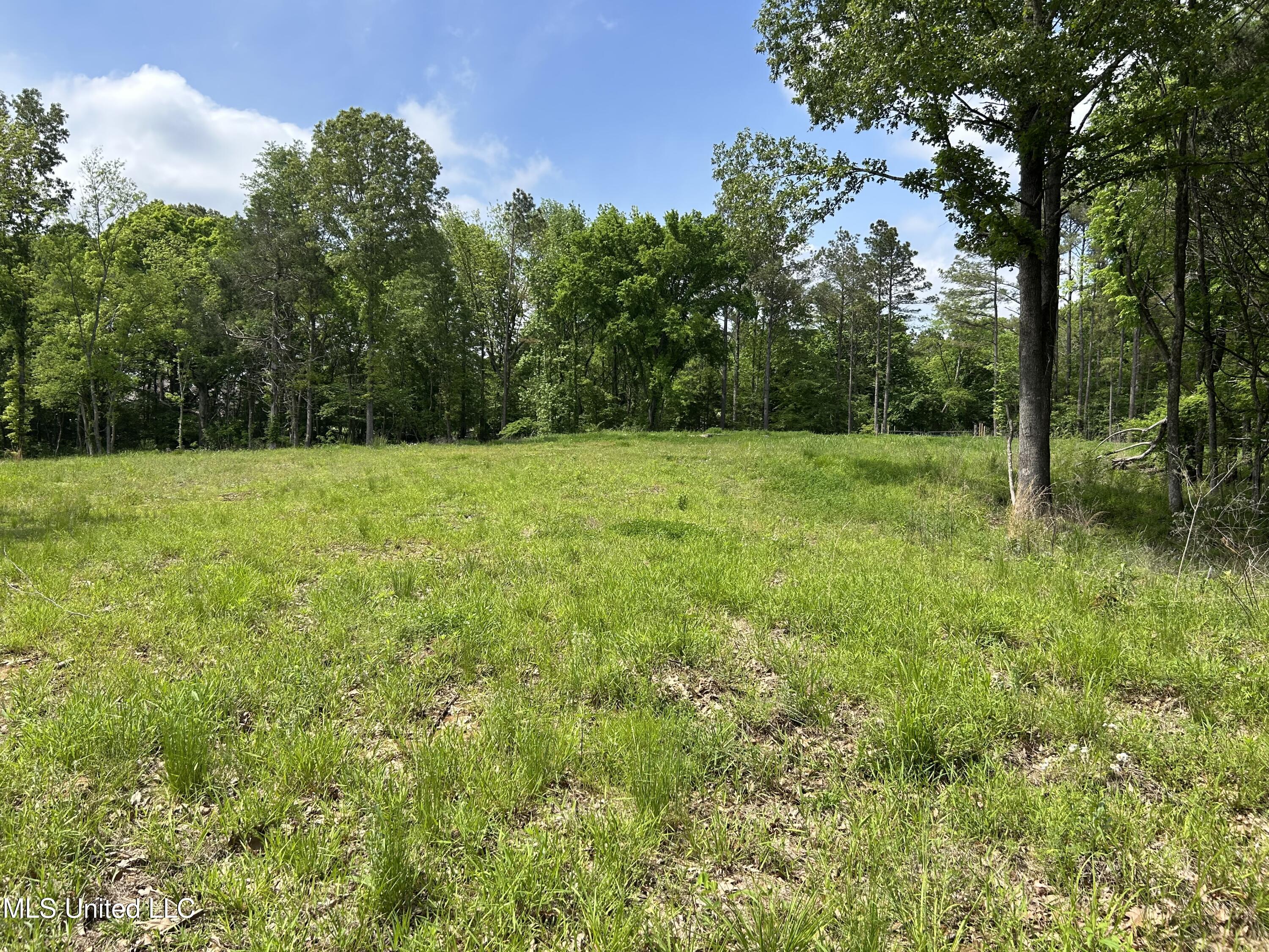 4315 North Crockett Road Sarah, MS 38665 - Photo 14 of 14 IMG_6095