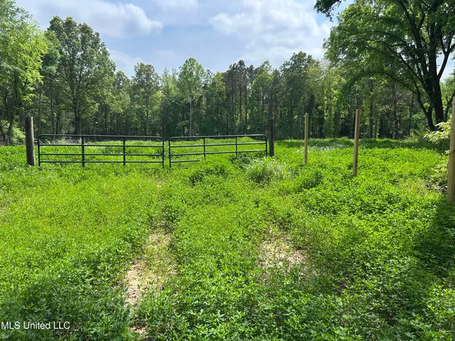 $180,000 | 4315 North Crockett Road, Sarah, MS 38665