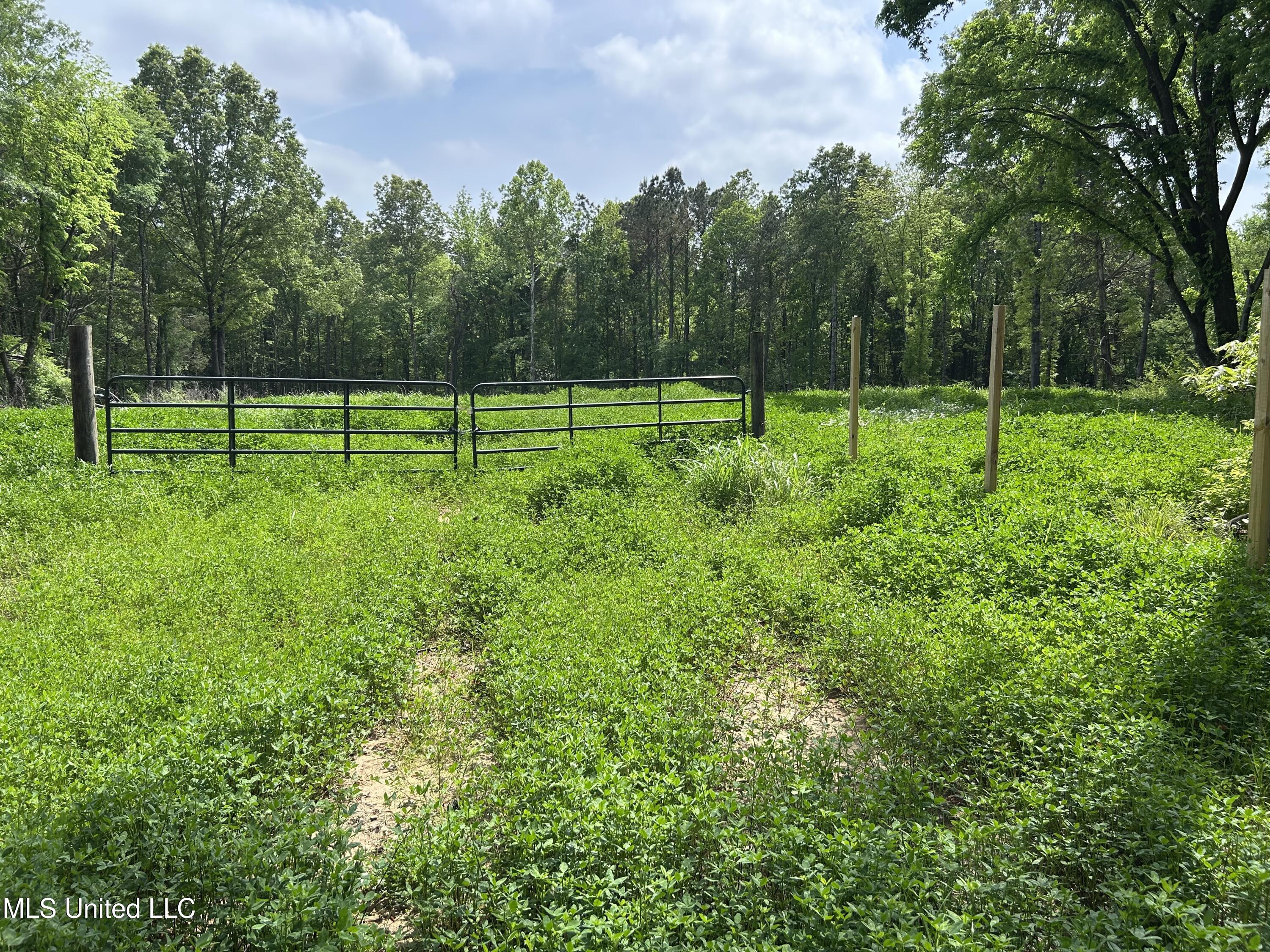 4315 North Crockett Road Sarah, MS 38665 - Photo 5 of 14 IMG_6102
