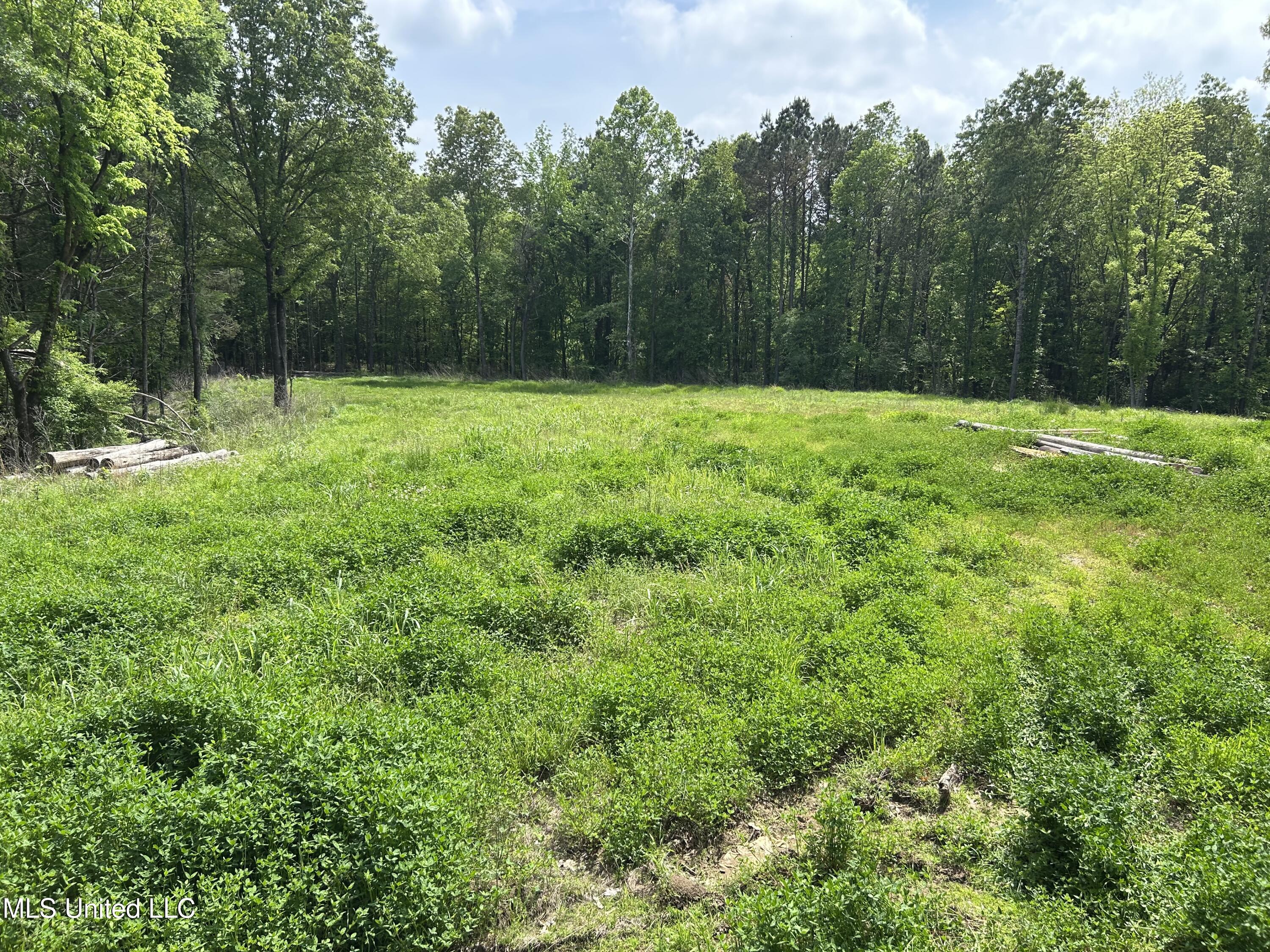 4315 North Crockett Road Sarah, MS 38665 - Photo 6 of 14 IMG_6105