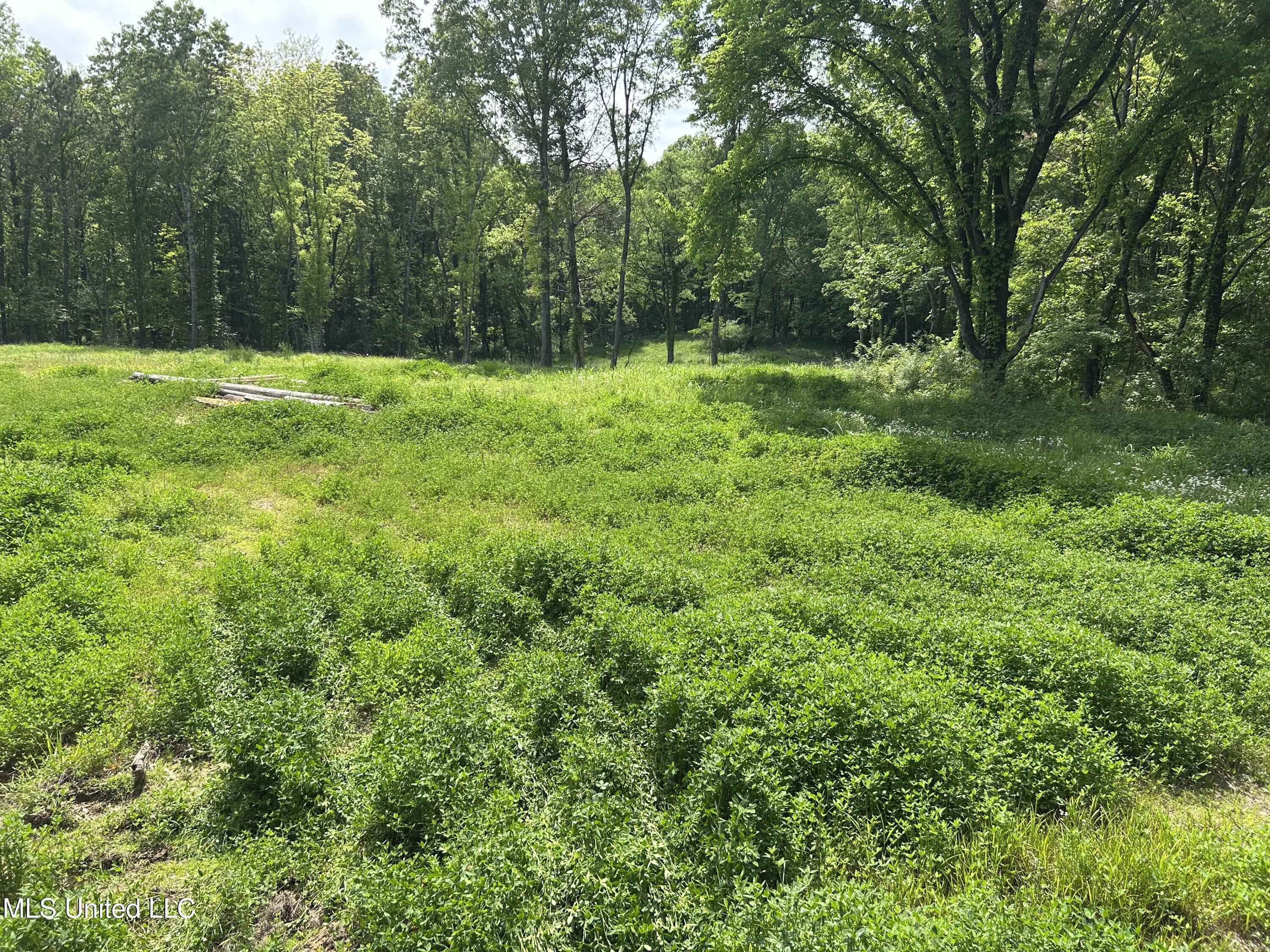 4315 North Crockett Road Sarah, MS 38665 - Photo 8 of 14 IMG_6104