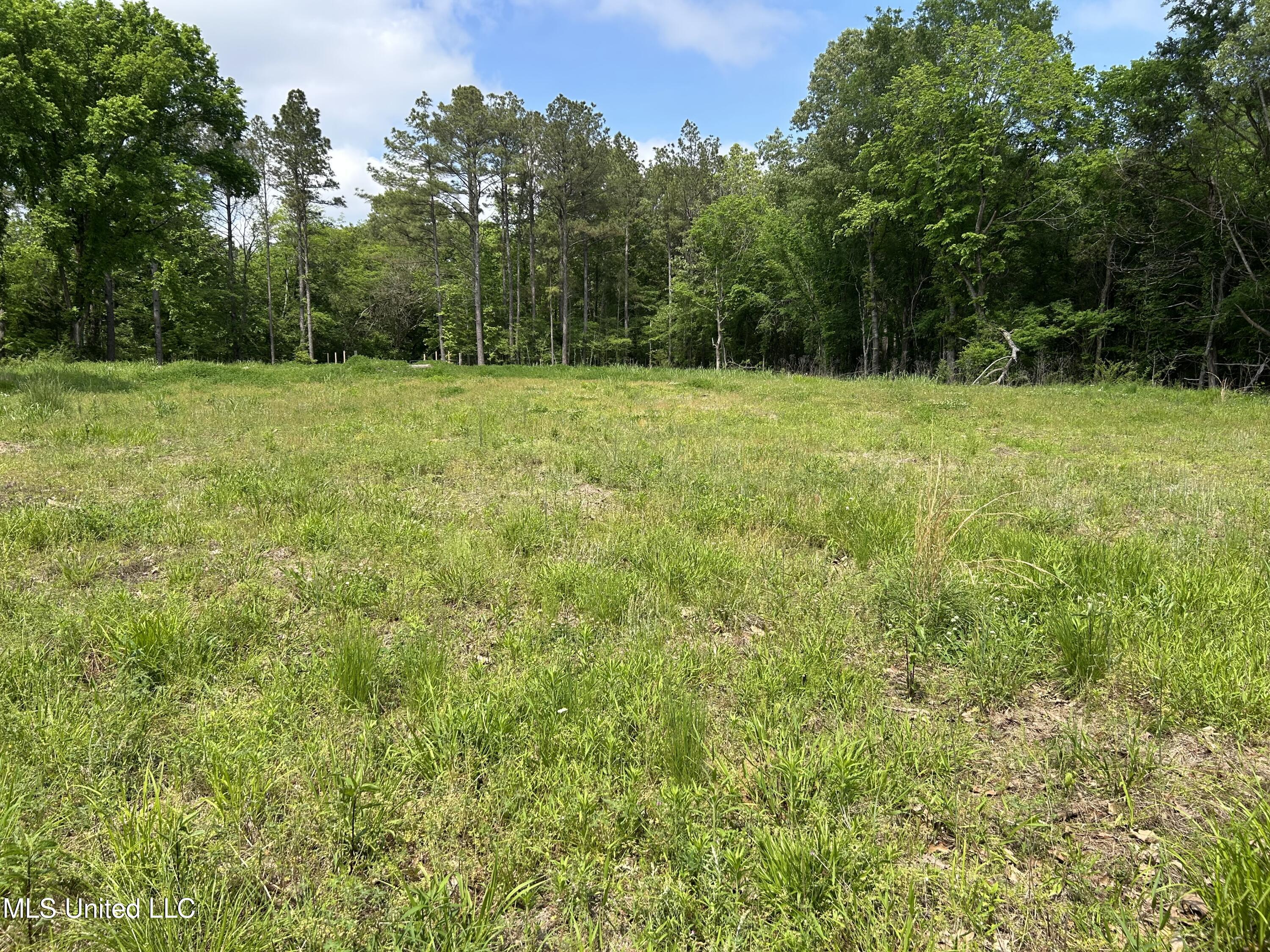 4315 North Crockett Road Sarah, MS 38665 - Photo 10 of 14 IMG_6099