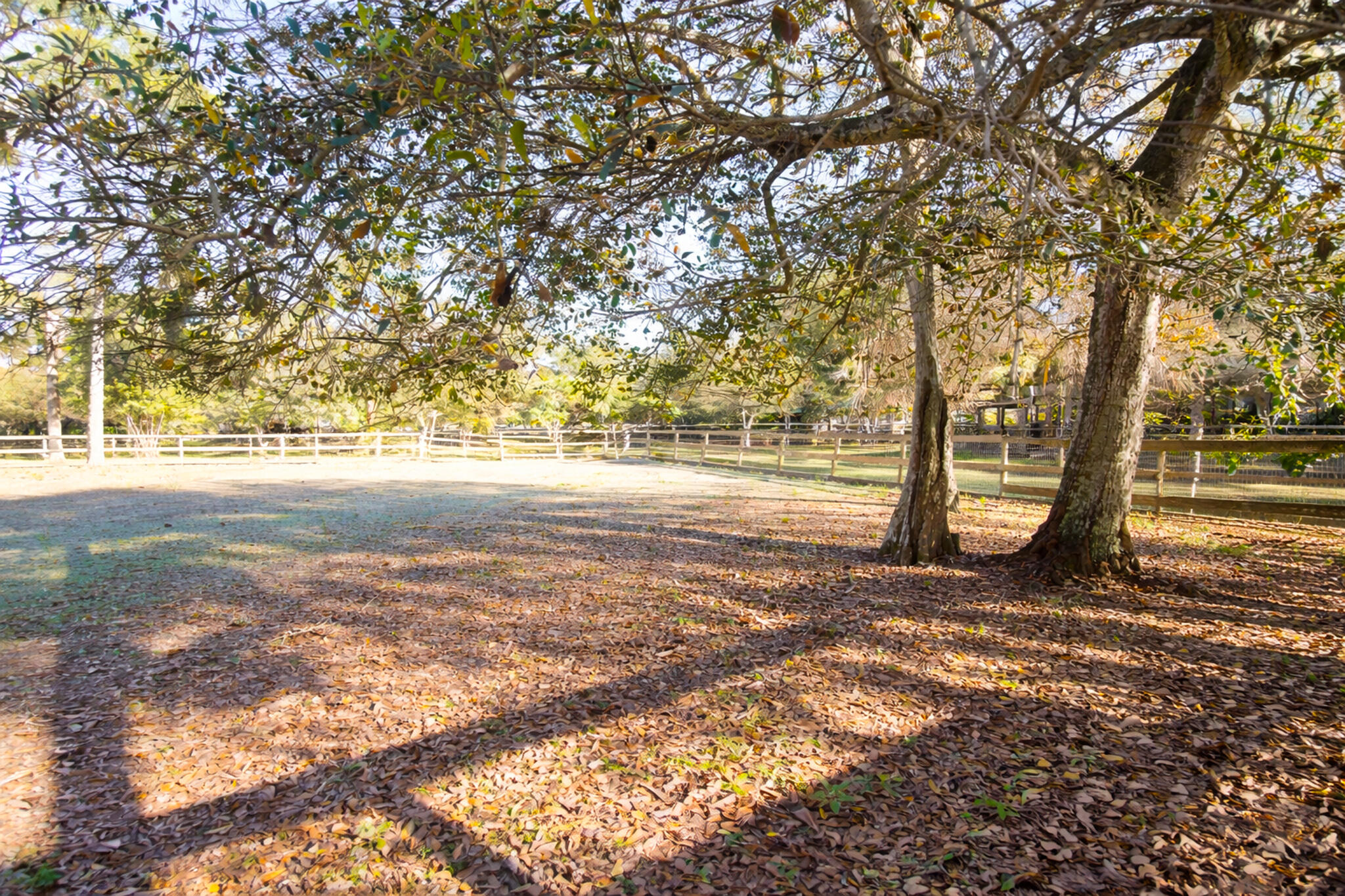 2141 B Road, Unit STALLS Loxahatchee Groves, FL 33470 - Photo 13 of 13 shade trees