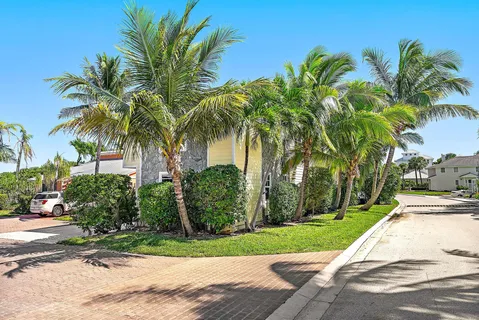 a couple of palm trees sitting in a yard with swimming pool