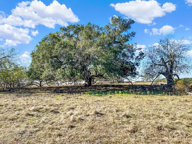 a view of a yard with yellow lighting