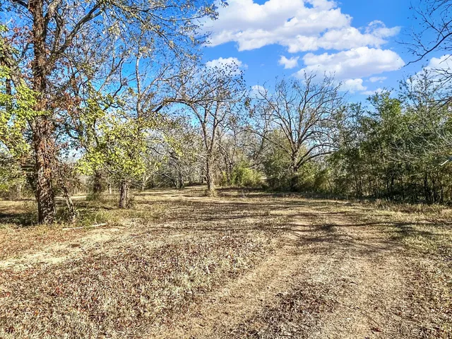 a view of a yard with yellow lighting