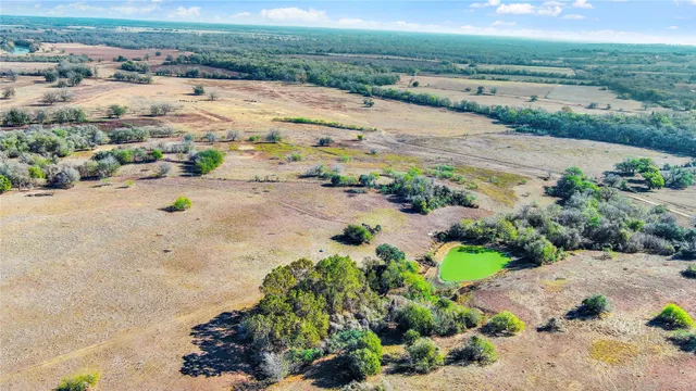 a view of a yard with lots of trees