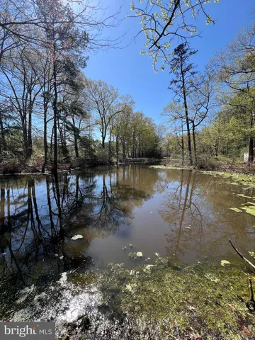 a large kitchen with cabinets wooden floor and stainless steel appliances