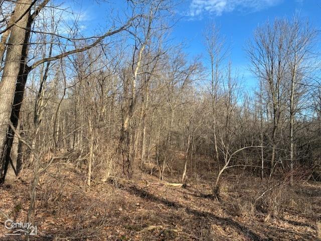 0 Marshall Road Ann Arbor, MI 48104 - Photo 14 of 17 Gallery Image 14