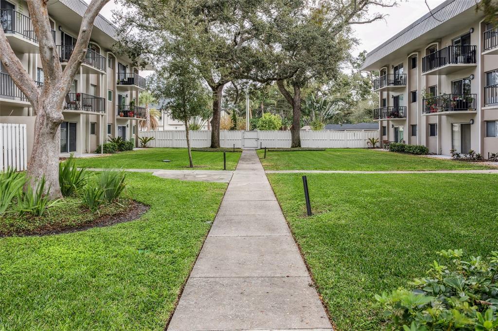 4606 West Gray Street, Unit 105 Tampa, FL 33609 - Photo 22 of 25 a view of a park with plants and trees