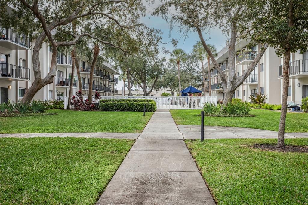 4606 West Gray Street, Unit 105 Tampa, FL 33609 - Photo 23 of 25 a view of a park with large trees