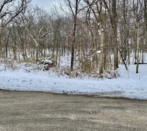 a view of a yard with a tree
