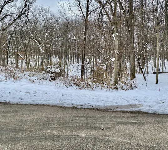 a view of a yard with a tree