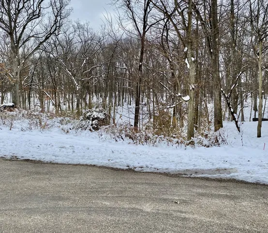 a view of a yard with a tree