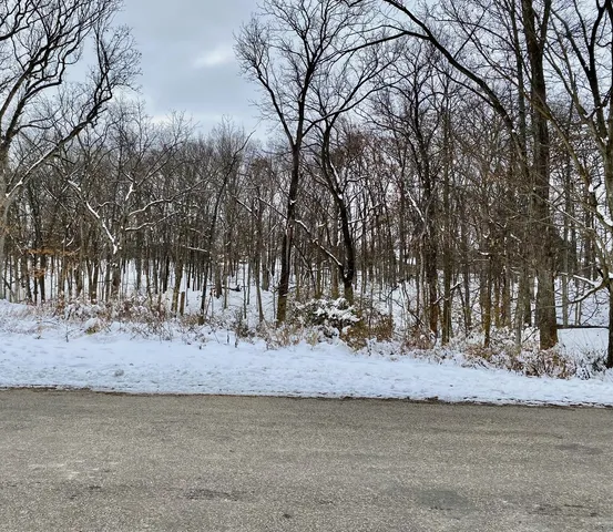 a view of a road with a snow on the road