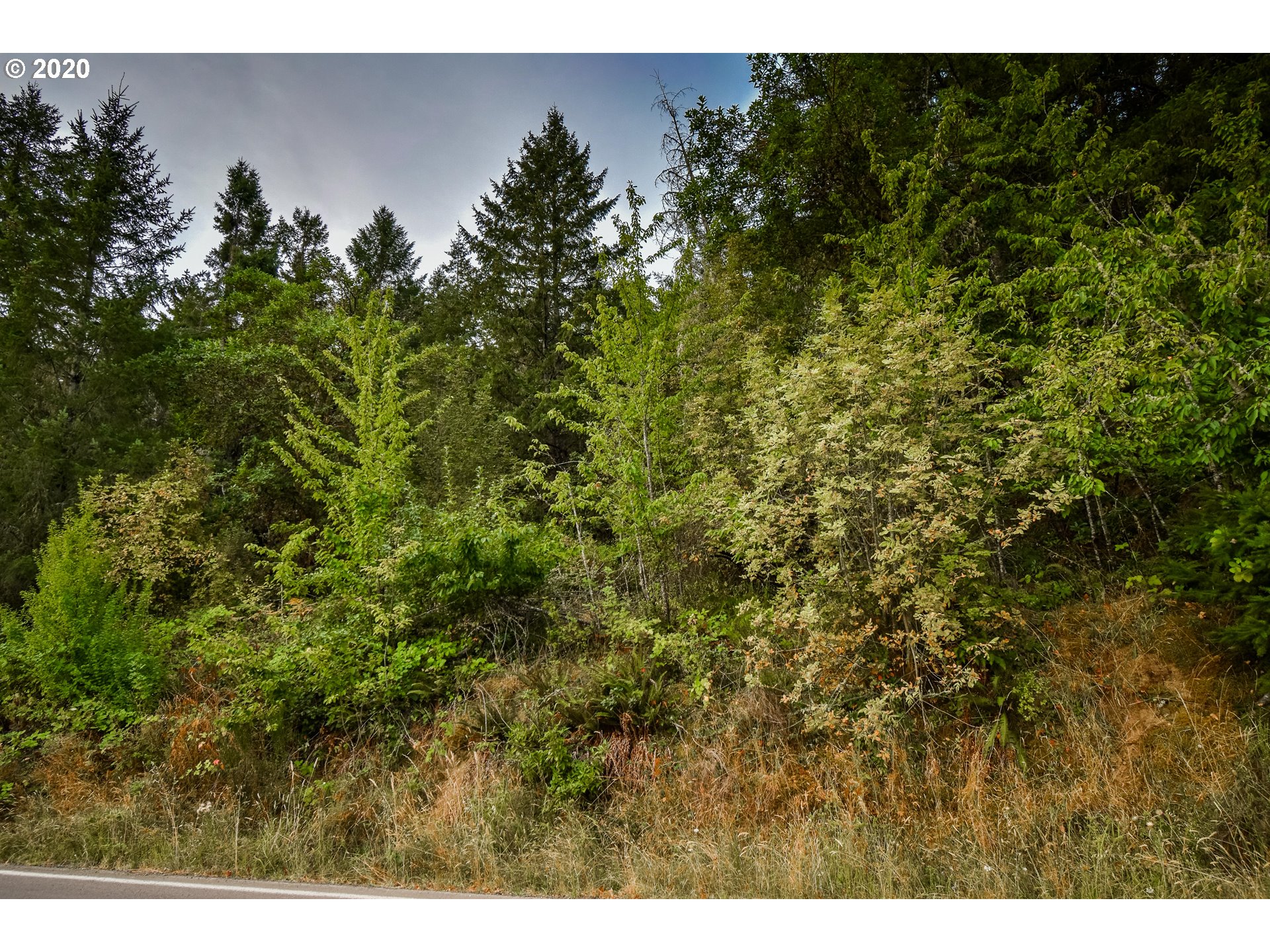 0 South Side Road, Unit 300 Sutherlin, OR 97479 - Photo 24 of 25 a view of a tree