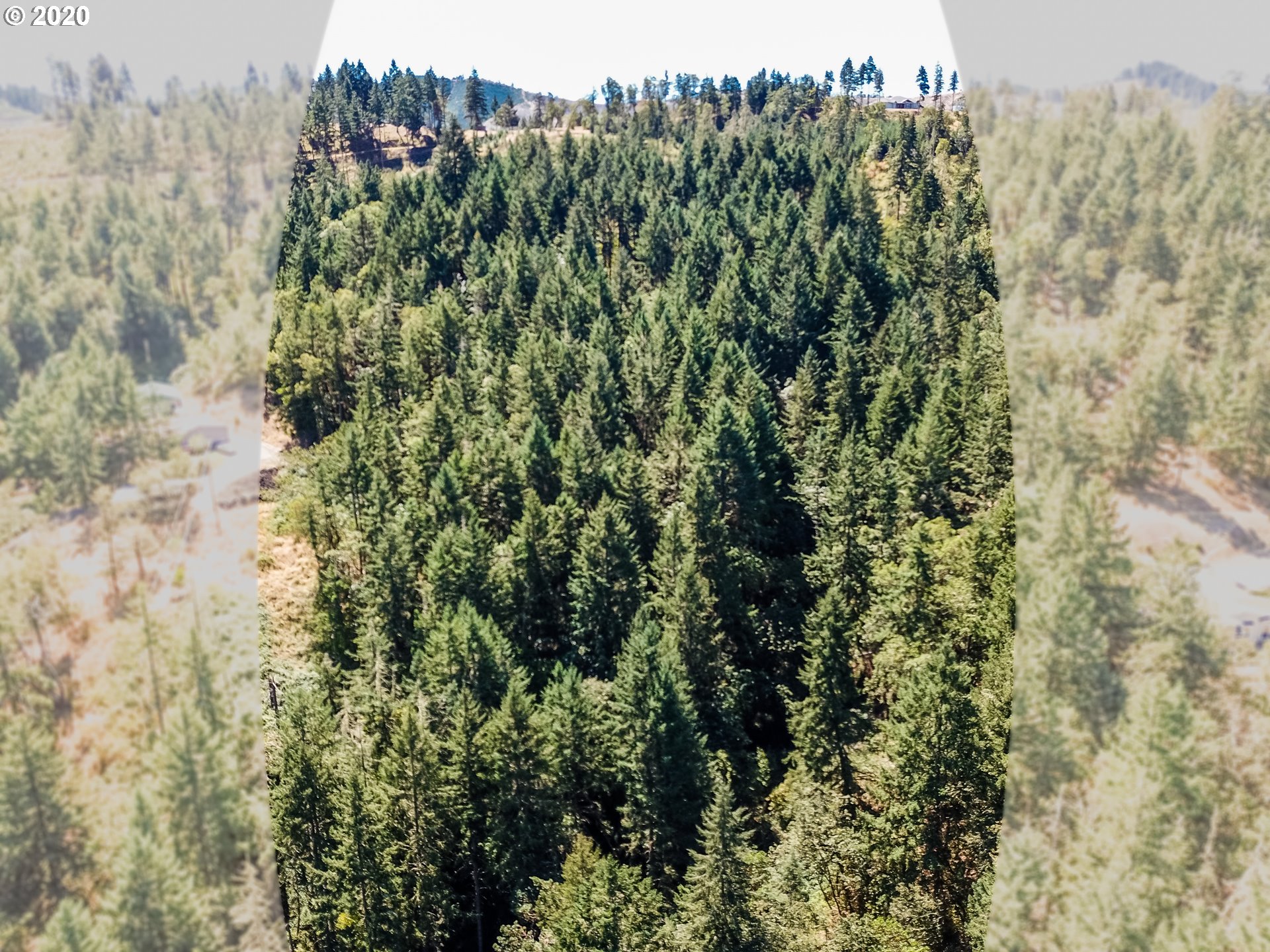 0 South Side Road, Unit 300 Sutherlin, OR 97479 - Photo 6 of 25 a view of a green field