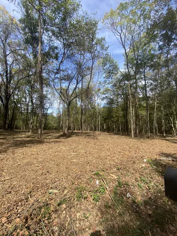 $124,900 | 0 Newt Vanattia Road, Hillsboro, TN 37342