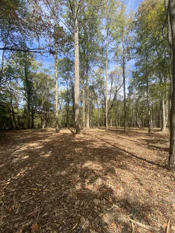 $124,900 | 0 Newt Vanattia Road, Hillsboro, TN 37342