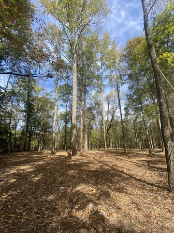 $124,900 | 0 Newt Vanattia Road, Hillsboro, TN 37342