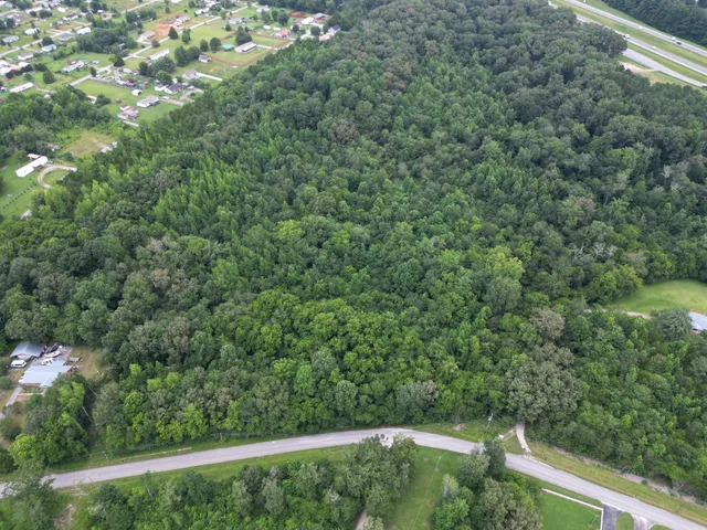 $124,900 | 0 Newt Vanattia Road, Hillsboro, TN 37342