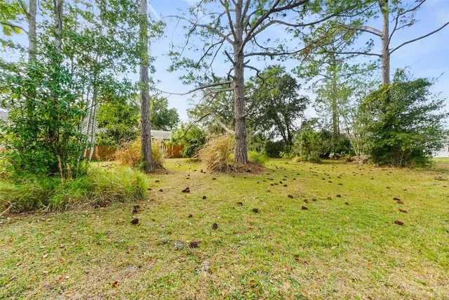a view of yard with green space
