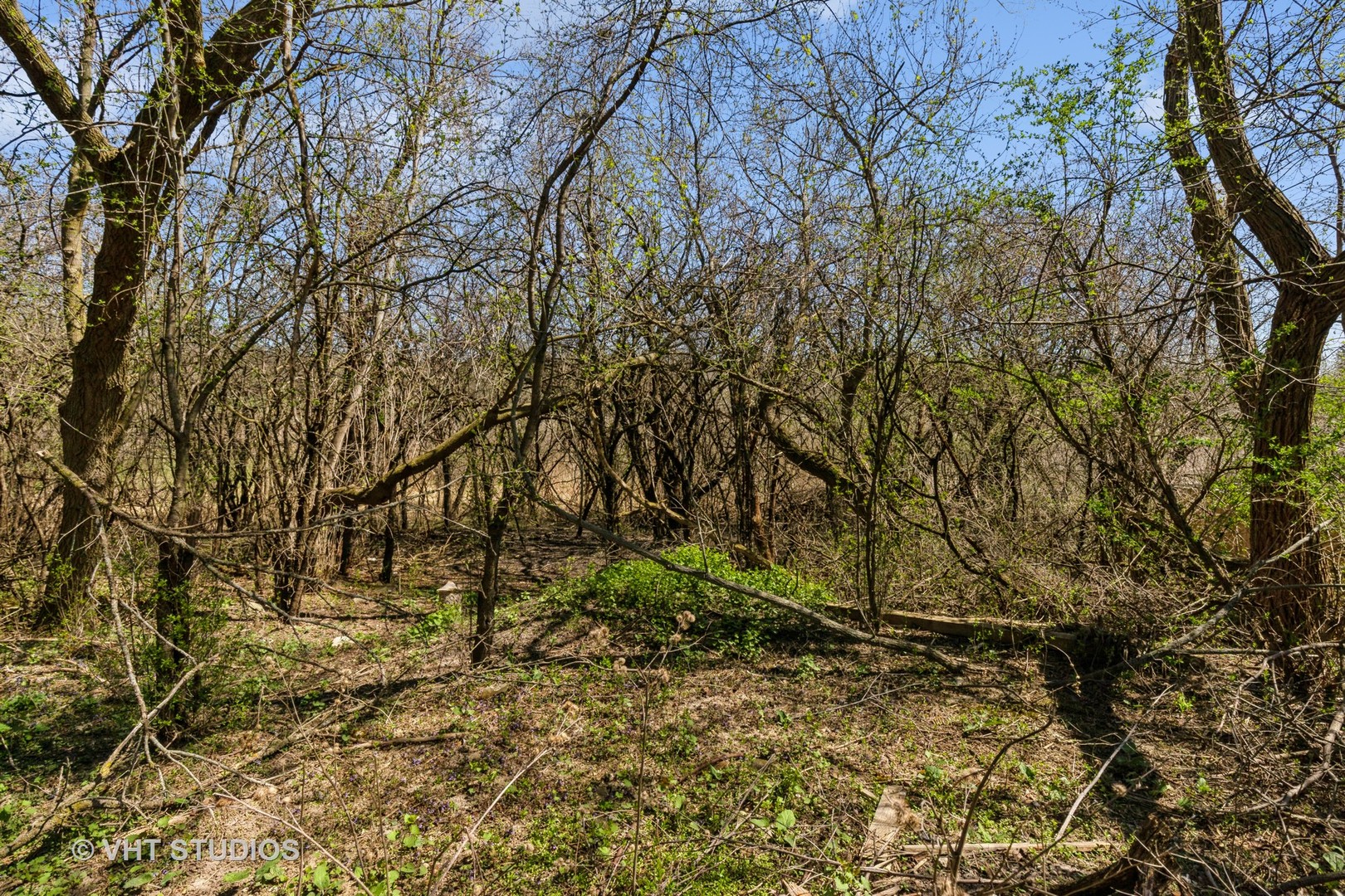 24432 West Hart Road Round Lake, IL 60073 - Photo 14 of 16 Gallery Image 14