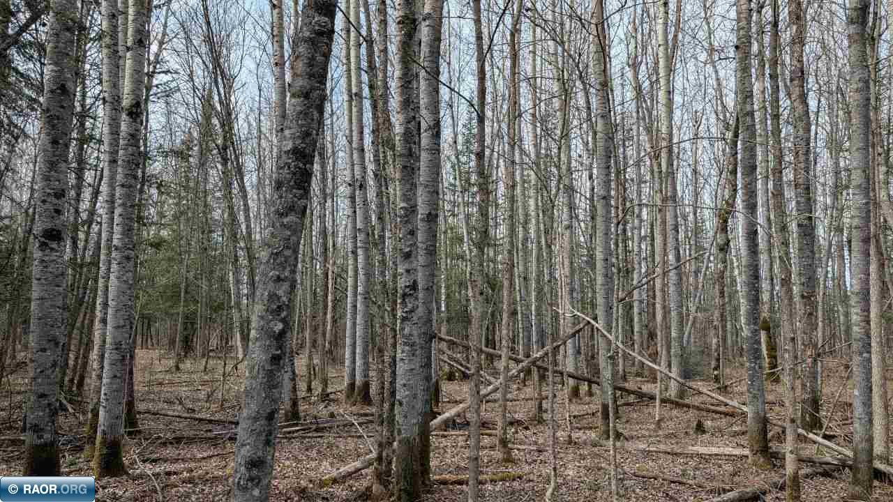 Lot 9 Lund Road Cook, MN 55723 - Photo 2 of 5