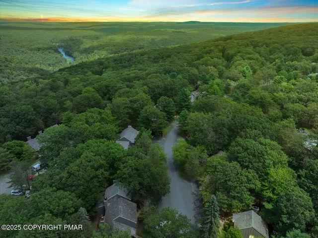 a view of a green field with lots of bushes