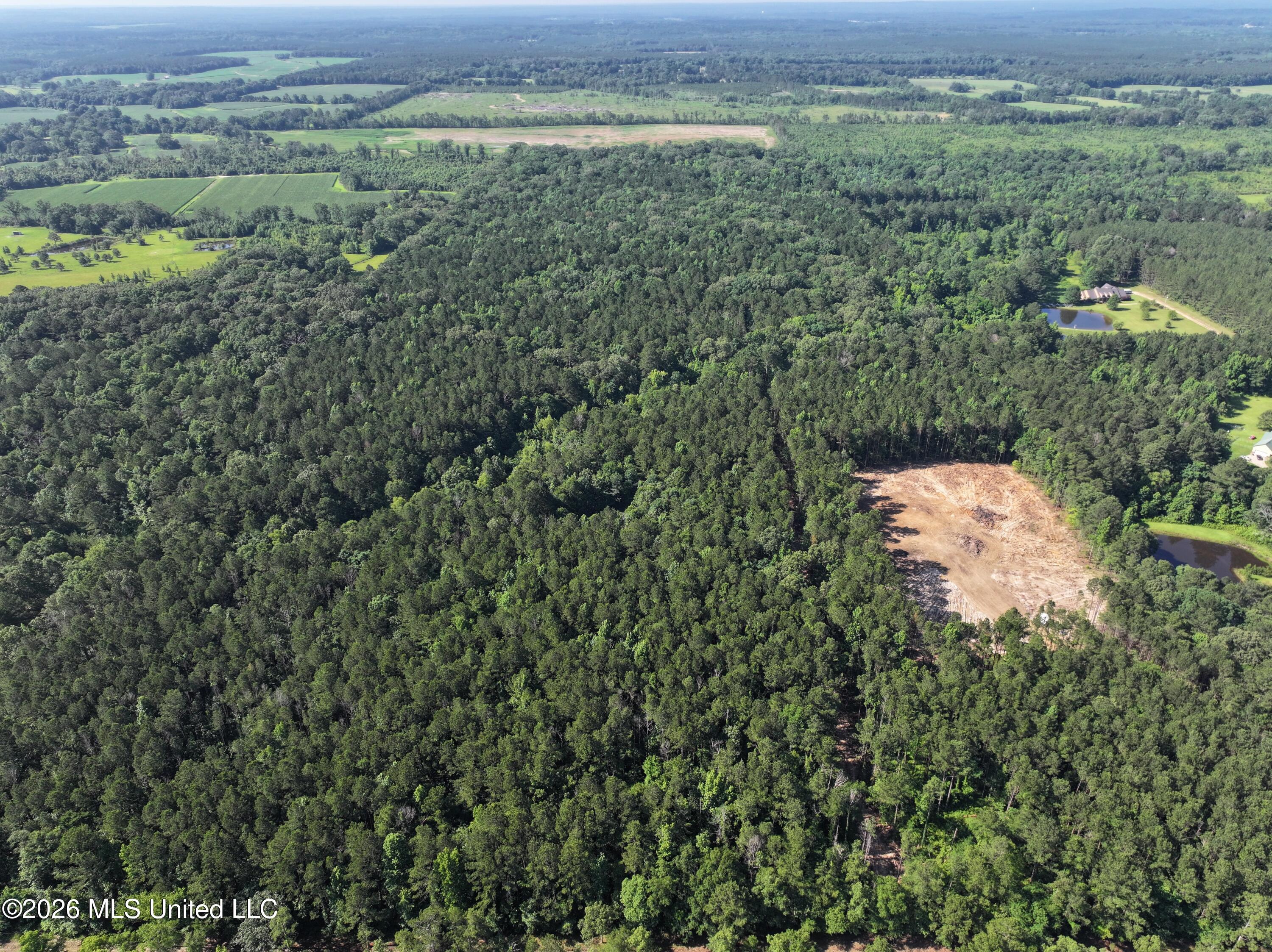 J C Prestage Road Pelahatchie, MS 39145 - Photo 8 of 24 ED5FC639-2C11-43E3-BE95-CF14484997C4