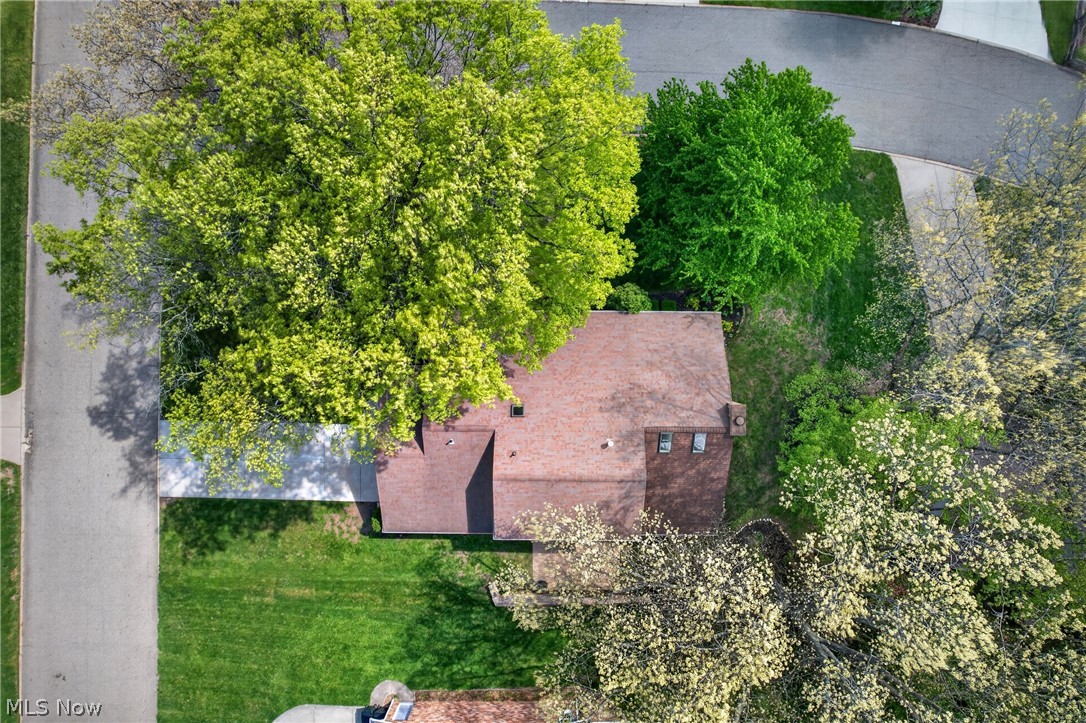 5346 Burlawn Street Northwest Canton, OH 44708 - Photo 36 of 40 Property featuring a brown shingle roof and green landscaping