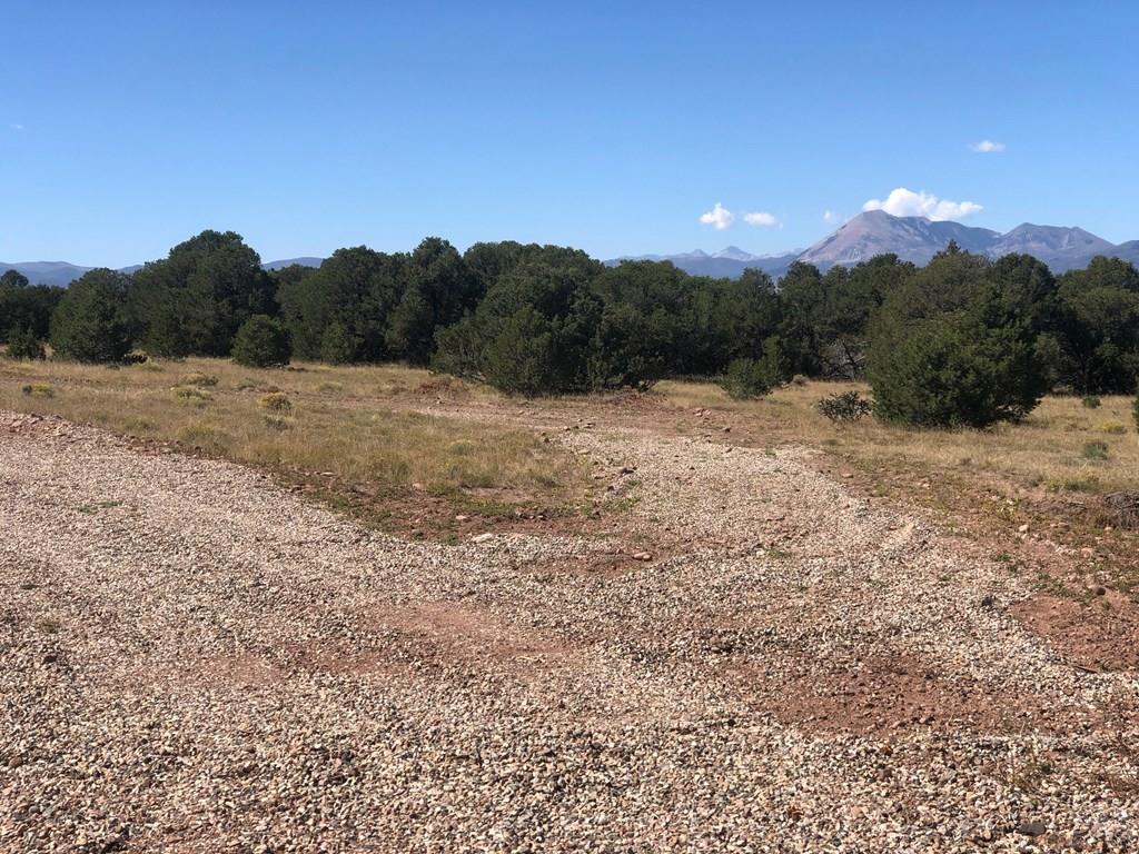 Lot 64 River Ridge Trail La Veta, CO 81055 - Photo 4 of 29