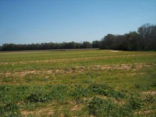 0 State Line Road Cottonwood, AL 36320 - Photo 1 of 1